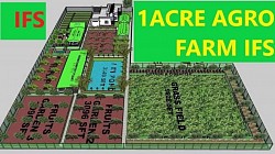 1 Acer