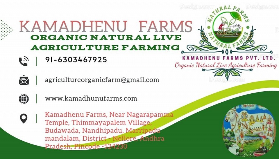 Contact : Business Card