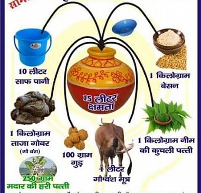 Amurathapani