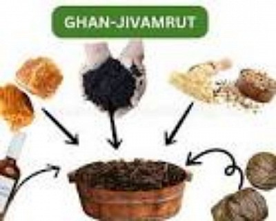 Ghana jevaamurtham