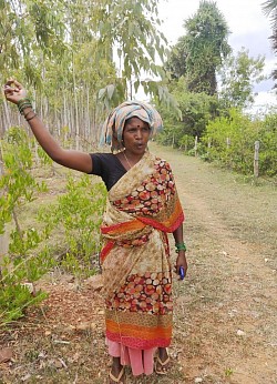 Ravanama ( Agriculture Supervisor Worker )