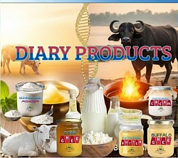 DIARY PRODUCTS
