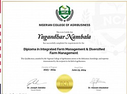 Diploma in Integrated & Diversifited Certified